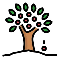 Abundance App - Secrets & Tips icon