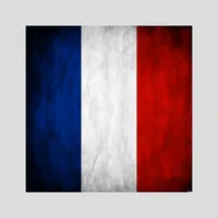Accro du français - изучение ф icon