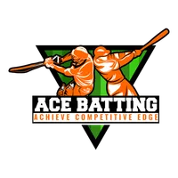 ACE Batting icon