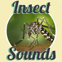 Insect Sounds icon