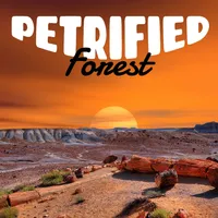 Petrified Forest National Park icon