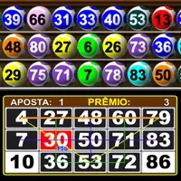 Video Bingo Reall X Flex icon