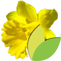 Bulbes à Fleurs icon