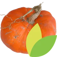 Au Potager icon