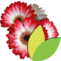 Encyclopédie Jardin icon