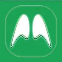 飚风Lite icon