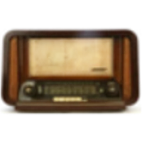 Radio Voice icon