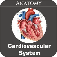 Cardiovascular System icon