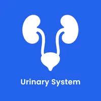 Urinary System icon