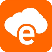 TM e-storage icon
