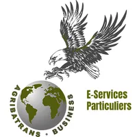 E-Services Particuliers icon