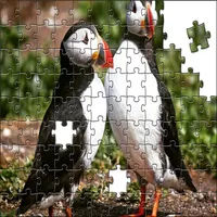 Jigsaw Puzzles world - Classic icon