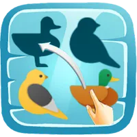 Shadow Matching Puzzles icon