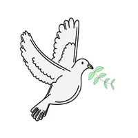 Today Courier Driver icon
