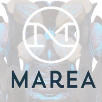 SIK - Marea icon