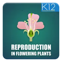 Reproduction-Flowering Plants icon