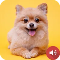 Puppy Barking Sounds icon