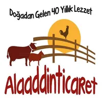 Alaaddinticaret.com icon