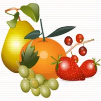 Alışveriş Listesi icon