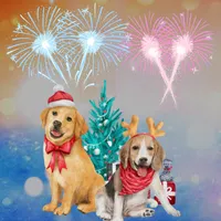 auguri di buon anno 2024 icon