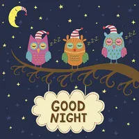 Good Night Greetings Cards icon