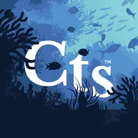 Crafting the sea icon
