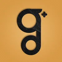 GM Ejecutivo icon