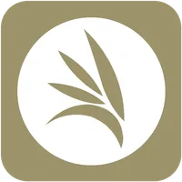 Conexão Eldorado icon