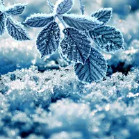 Winter Live Wallpaper icon