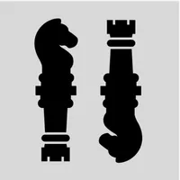 Chess 2P icon
