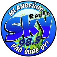 Sky Radio Mlang icon