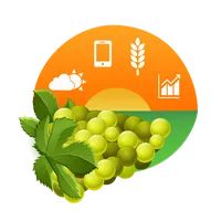 Amigrapes icon