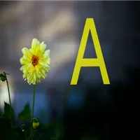 صور حرف A-خلفيات حرف A-صور a icon
