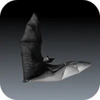 Bat Sounds icon