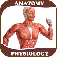 Human Anatomy and Physiology:  icon