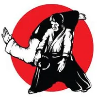 aikido icon