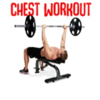 Chest Workout! icon