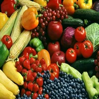 7 Day Diet Plan WEIGHT LOSS icon