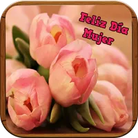 SALUDOS MUJER EN TU DÍA icon