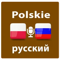 Translator Polski Rosyjski icon