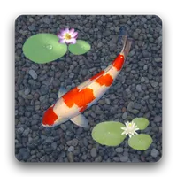 aniPet Koi Live Wallpaper icon