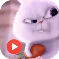 Snowball Animated Stickers icon