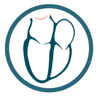 Echocardiography icon