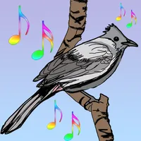 Suara Burung Kutilang Gacor icon