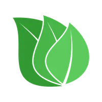 Raokandro icon