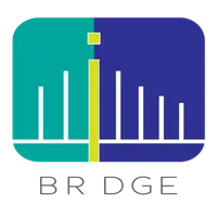 BRDGE icon