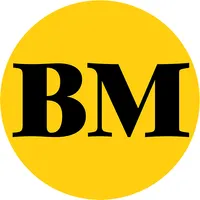 BusinessMirror icon