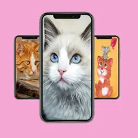 Cute and lovely Cat Wallpapers icon