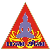 Mavasiva icon