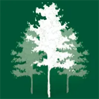 Aspen Network icon